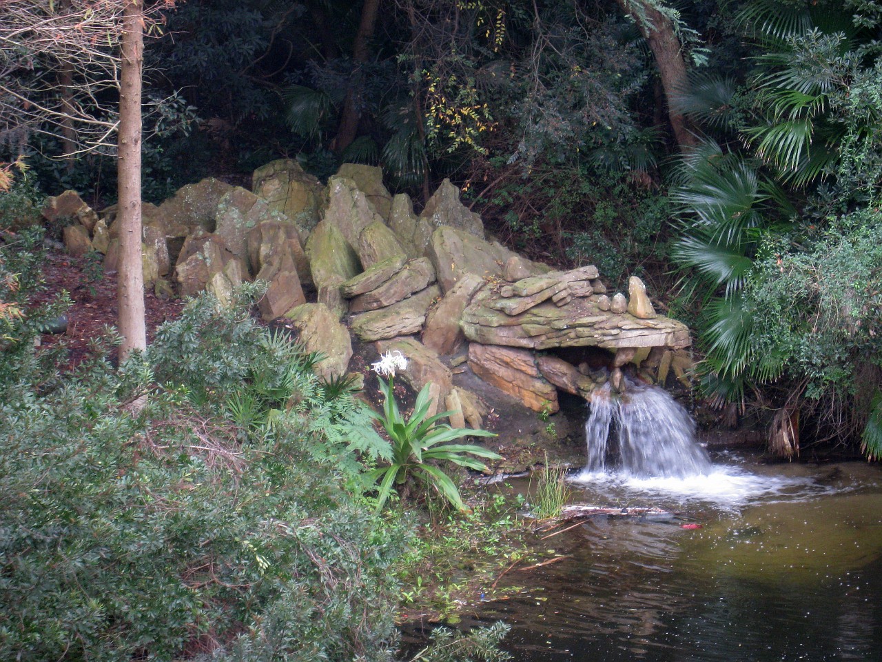 Vacation 2007-12 - Disney Parks  0820b.jpg - The 2007-08 vacation to Florida included Disney World. We visited some of the larger theme Resorts along with Animal Kingdom and Disney Hollywood Studios.